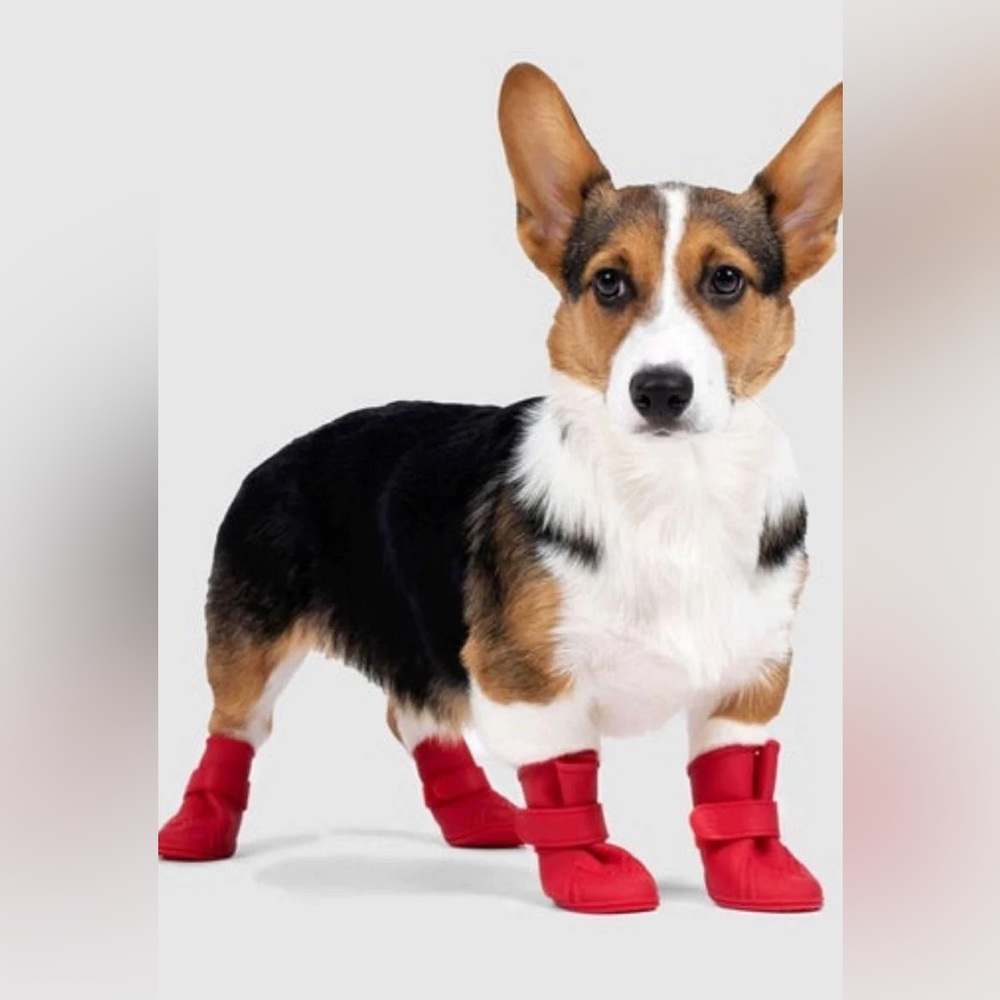 Canada Pooch Wellie Red Size Large